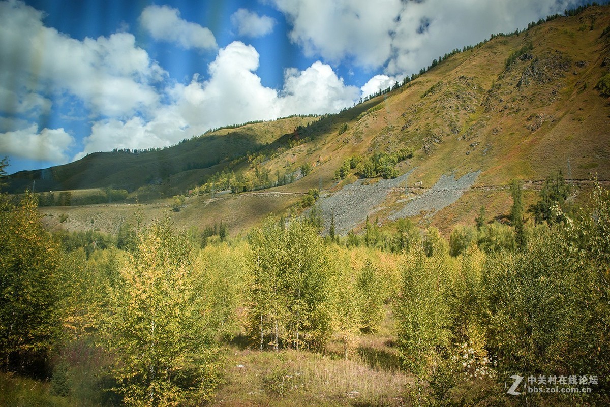 车拍阿吾斯奇草原牧场