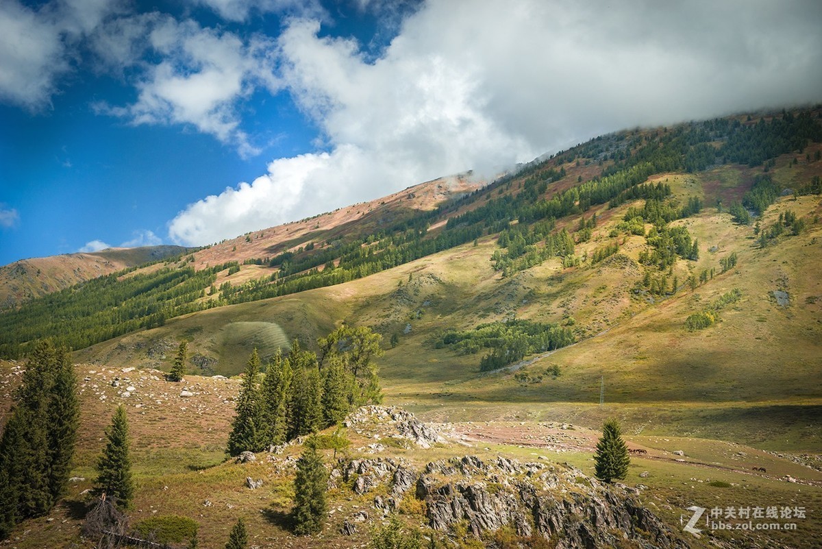 车拍阿吾斯奇草原牧场