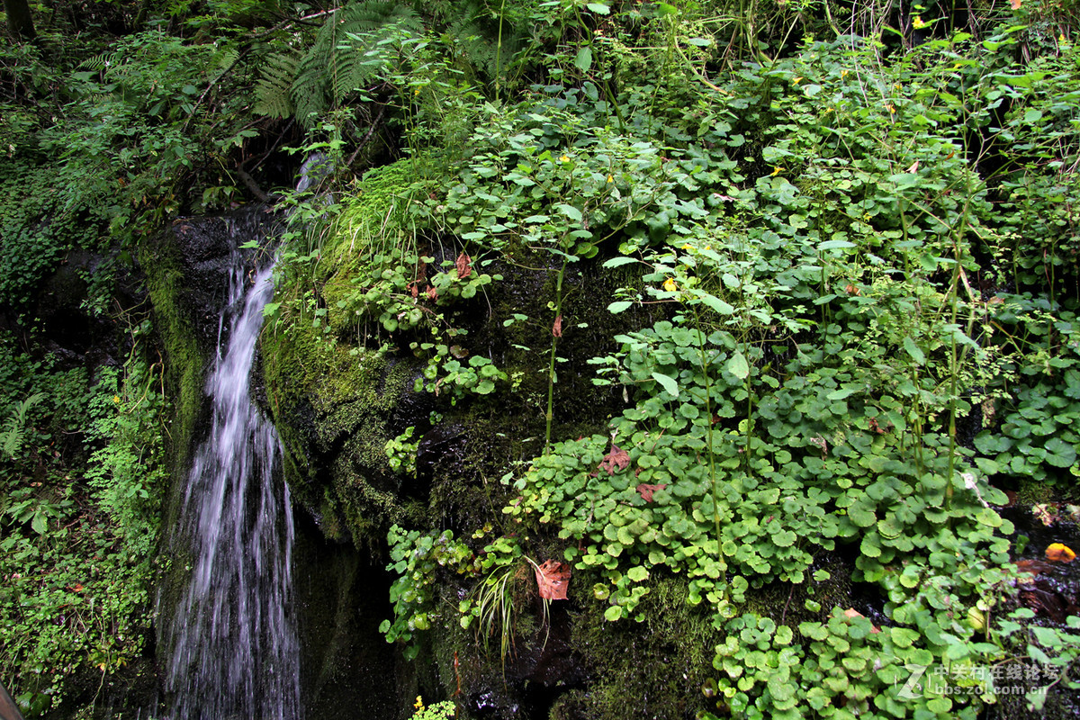 长白山（南坡）游拍——望天鹅景区之飞流瀑布