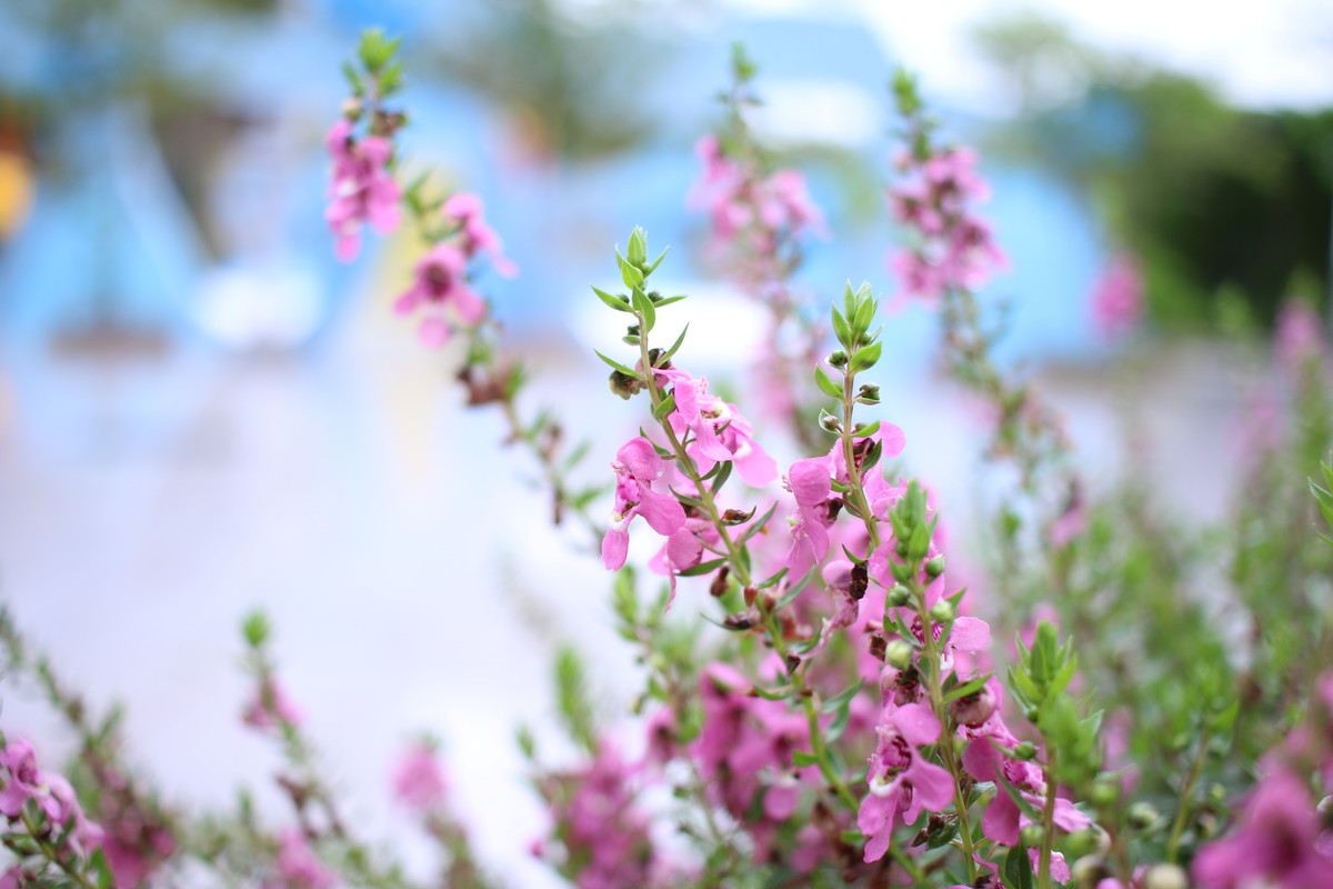 70D套机+24mm饼干试机样片