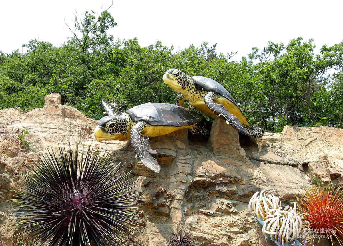 大连滨海路北段的“海底大峡谷”