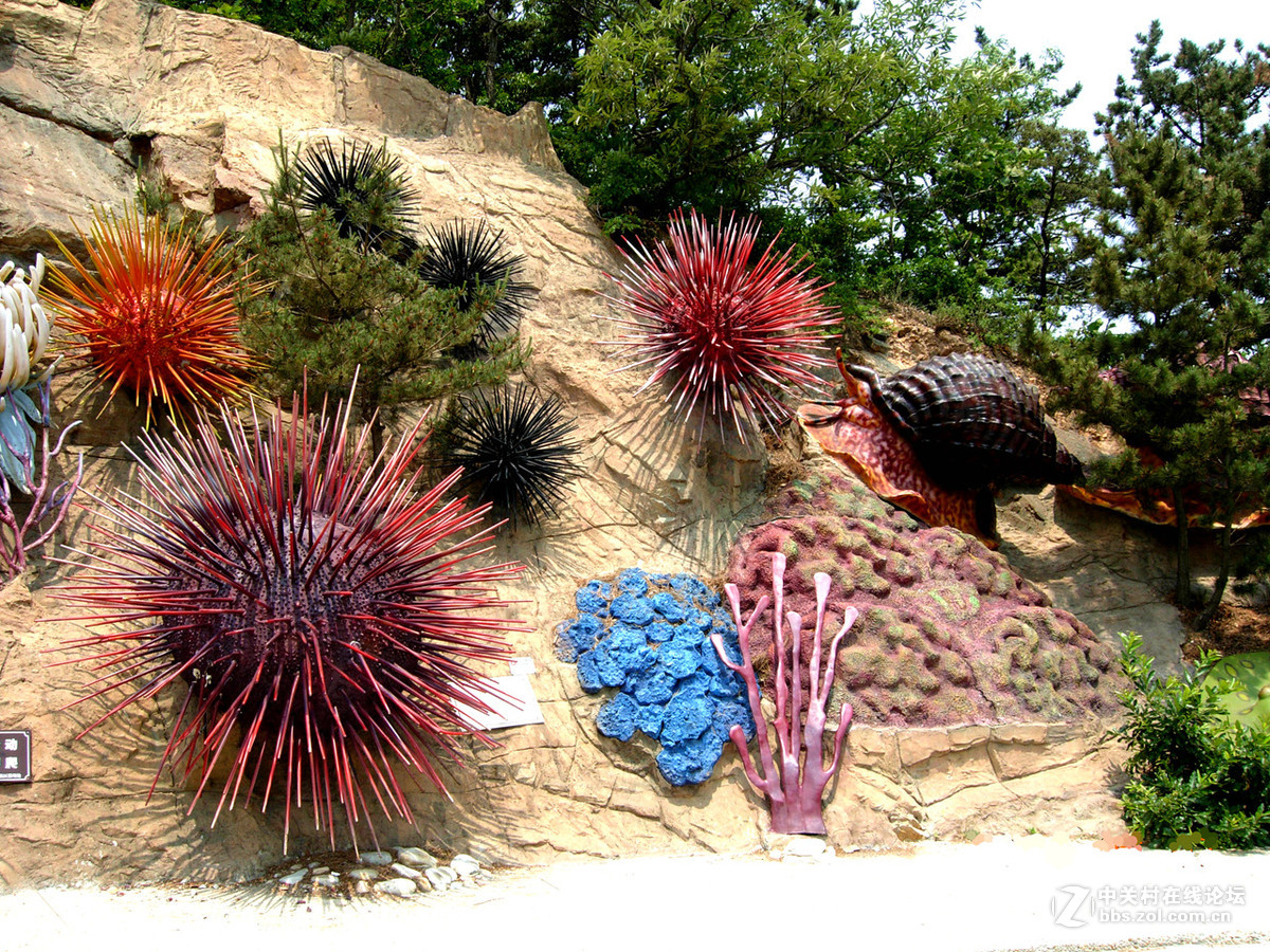 大连滨海路北段的“海底大峡谷”