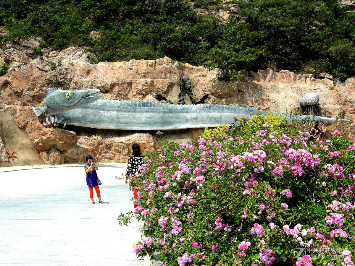 大连滨海路北段的“海底大峡谷”