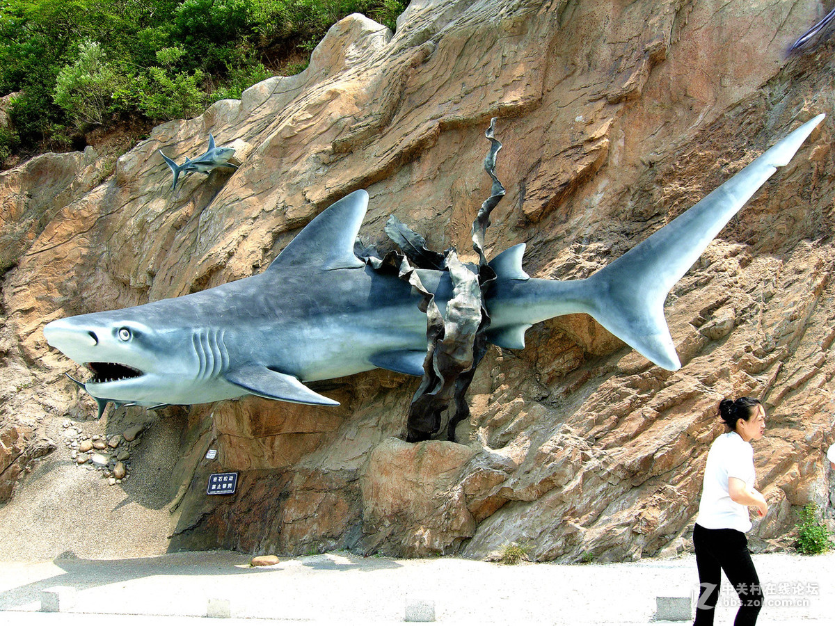 大连滨海路北段的“海底大峡谷”