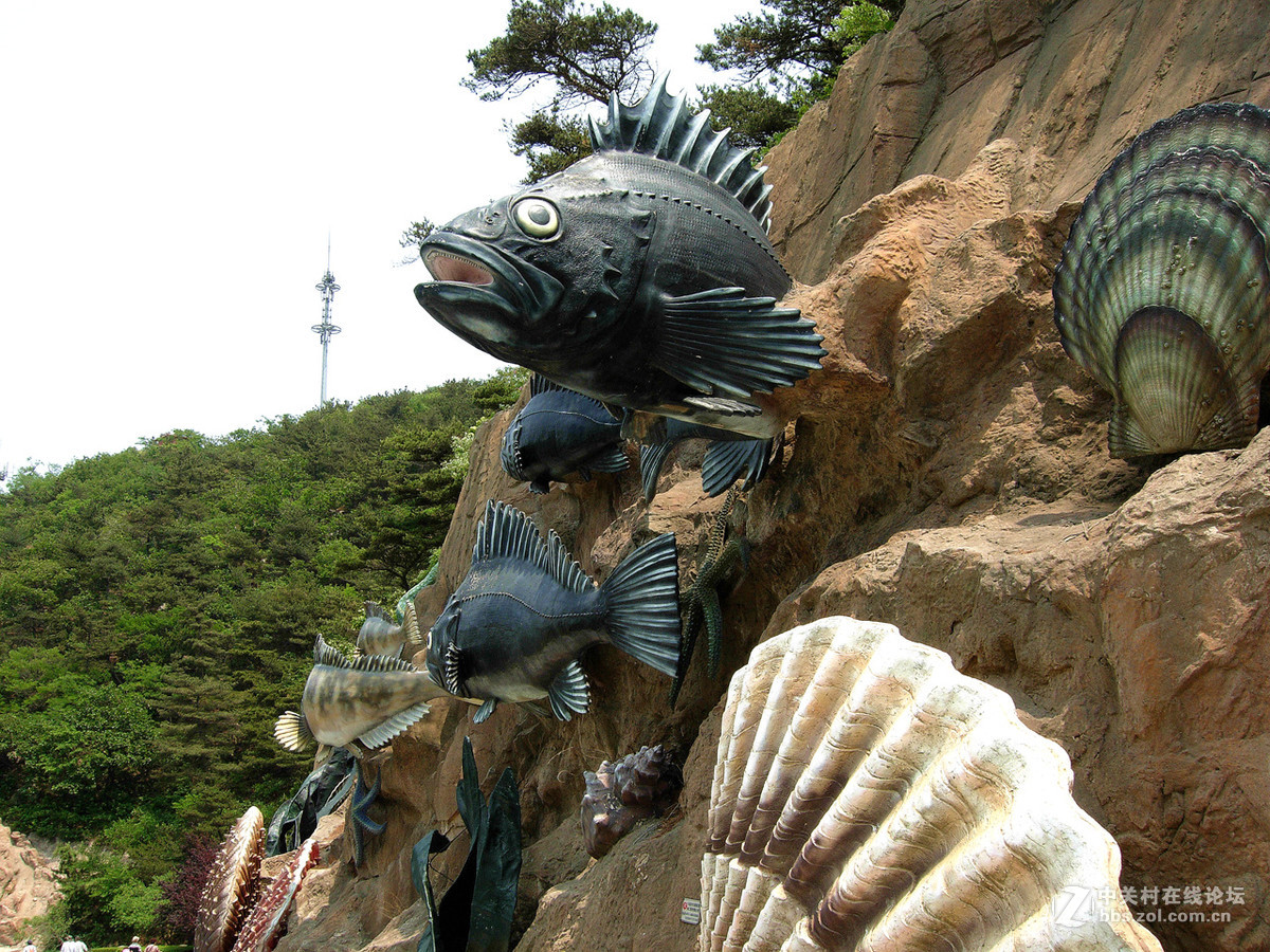 大连滨海路北段的“海底大峡谷”