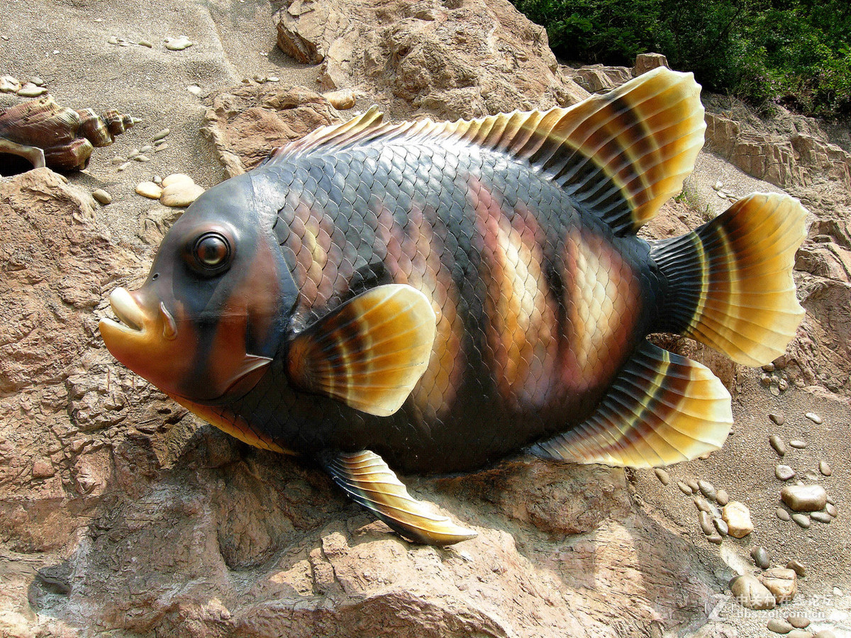 大连滨海路北段的“海底大峡谷”