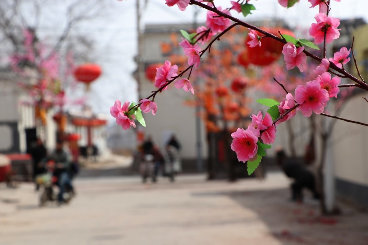 河北农村过年采风