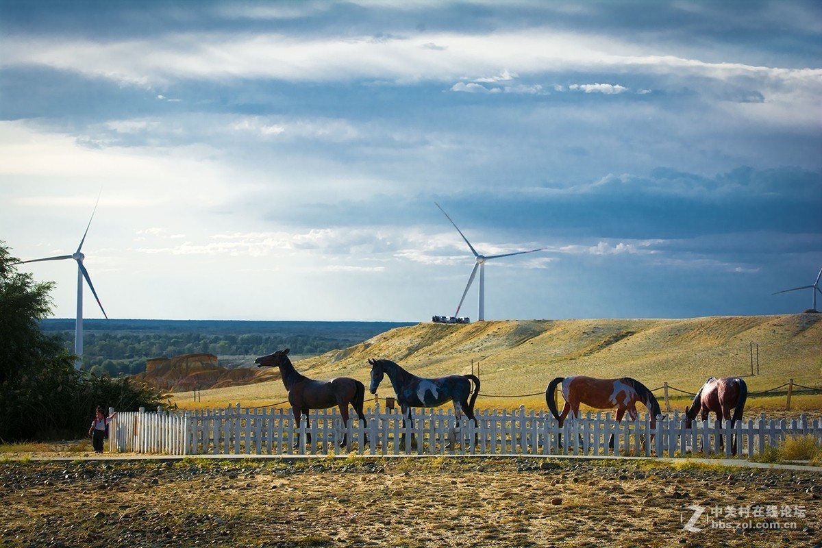 车拍阿吾斯奇草原牧场
