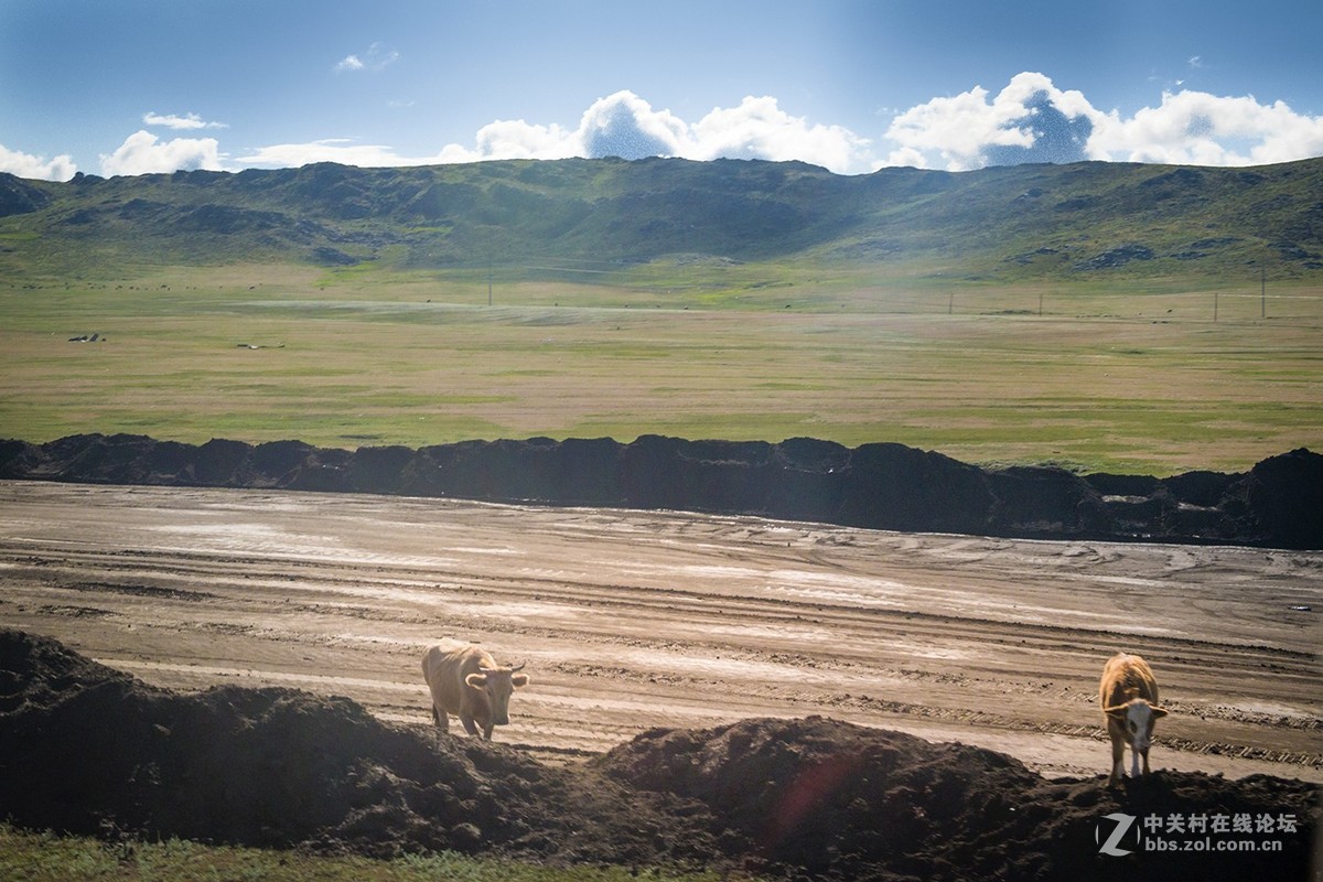 车拍阿吾斯奇草原牧场