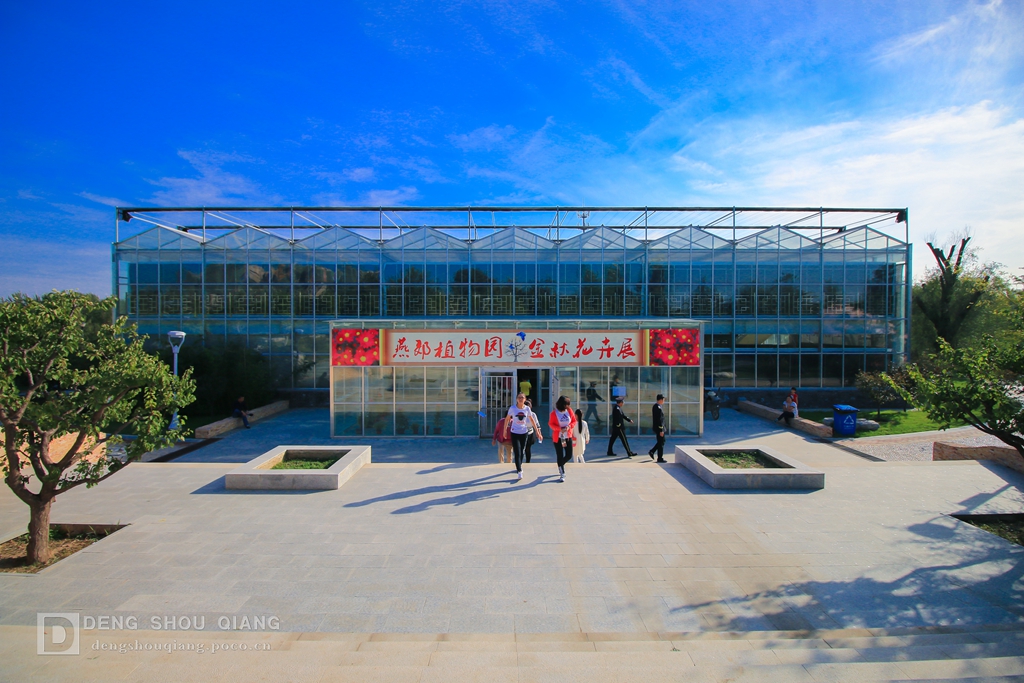 2015京东燕郊植物园金秋花卉展