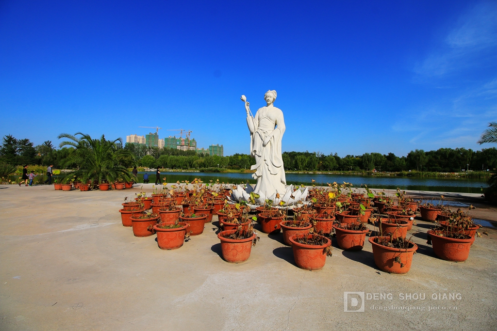 2015京东燕郊植物园金秋花卉展