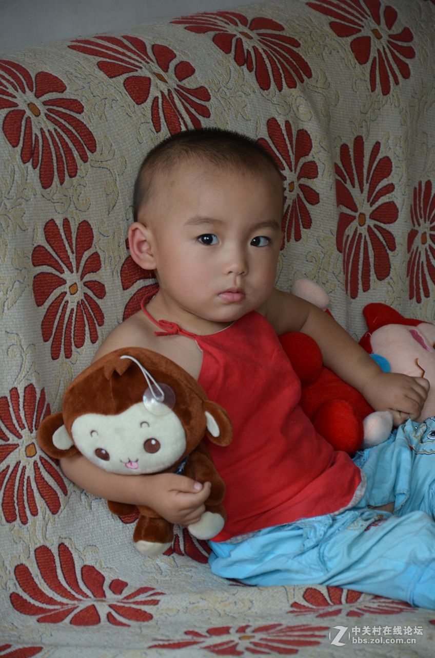 欣欣然2岁鸿运坐卧