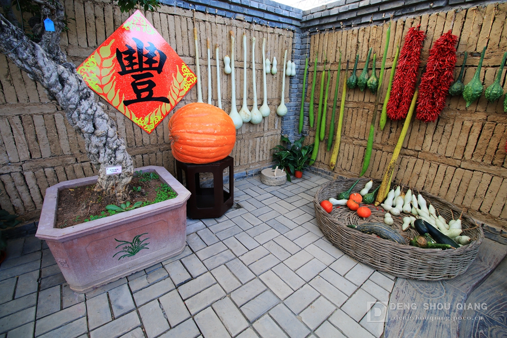 2015京东燕郊植物园金秋花卉展