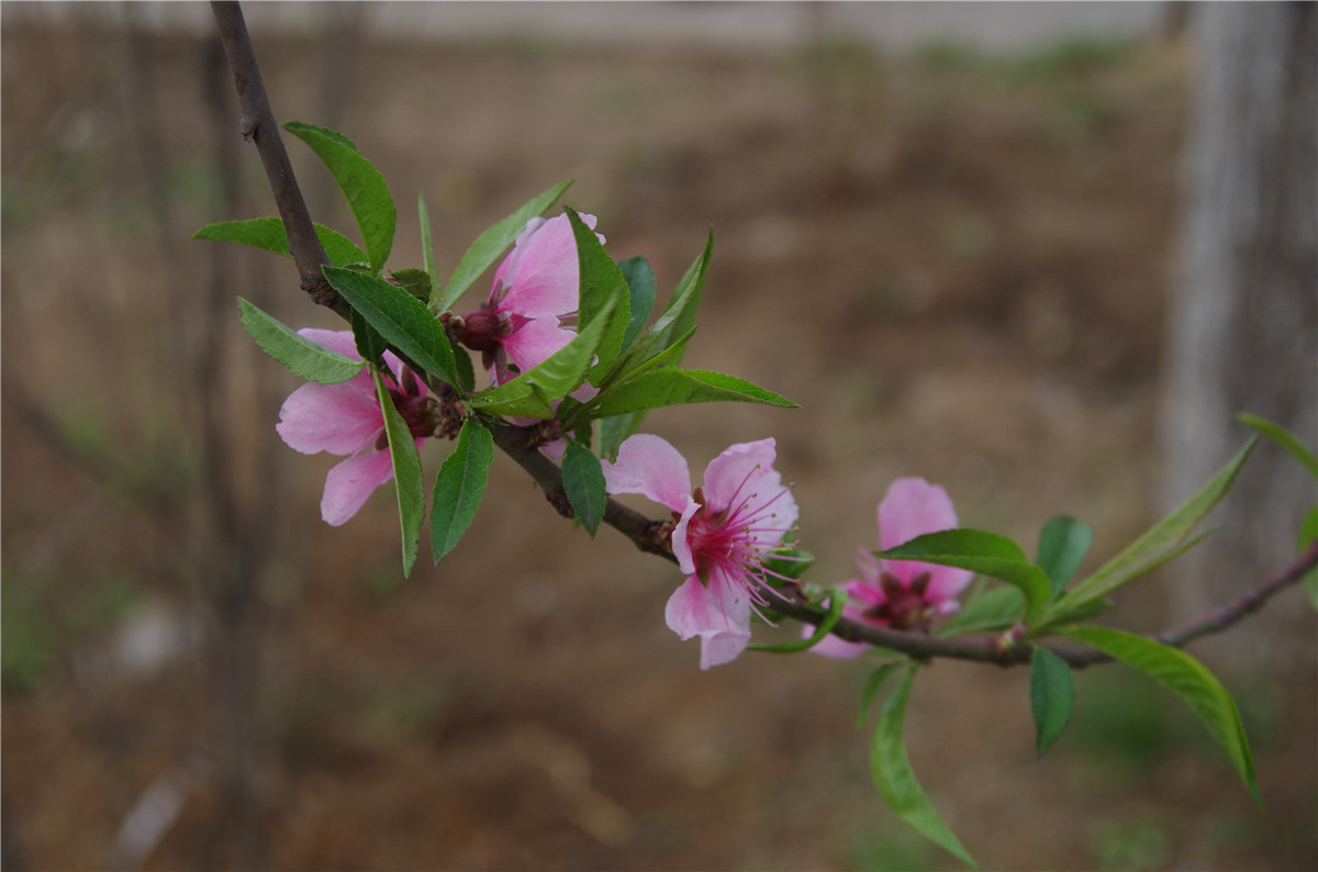 【行行摄摄】街头晨拍