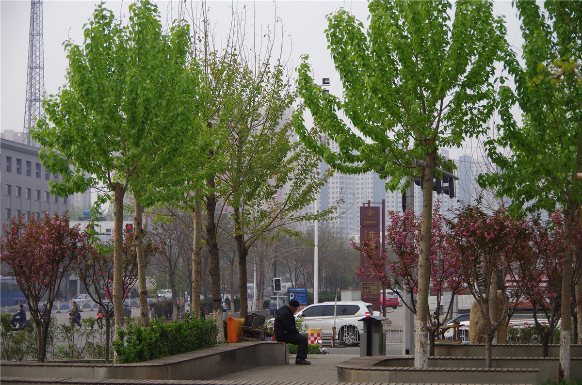 【行行摄摄】街头晨拍