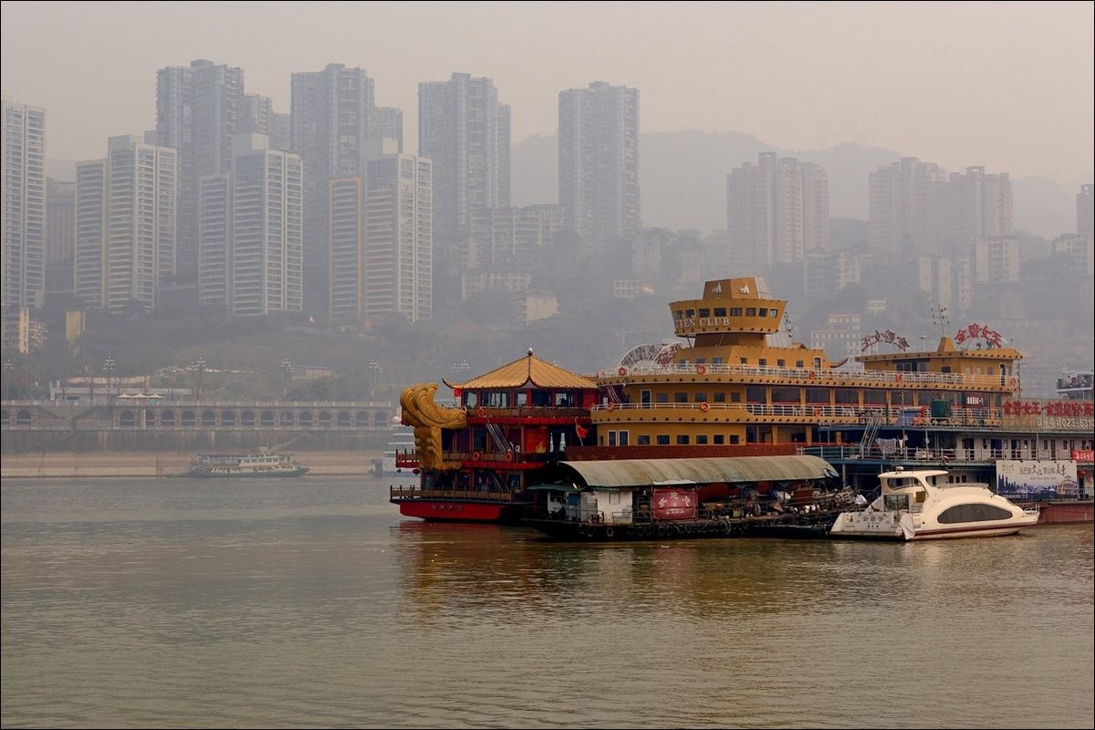 休闲随拍（295）