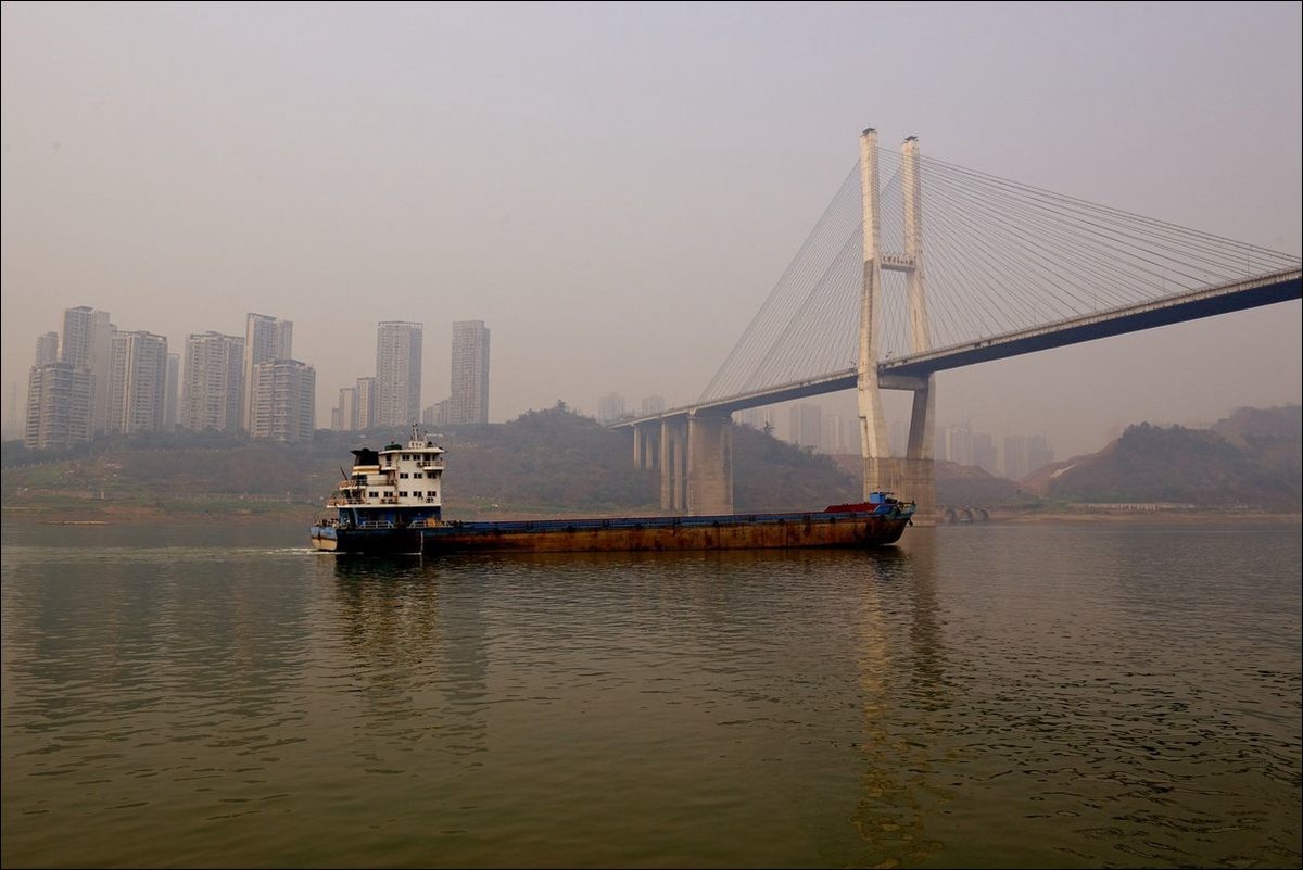 休闲随拍（295）