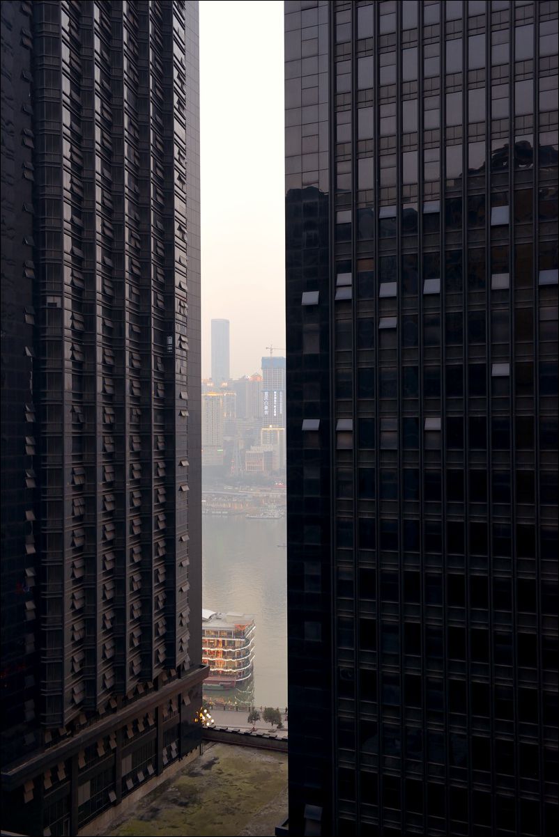 休闲随拍（295）