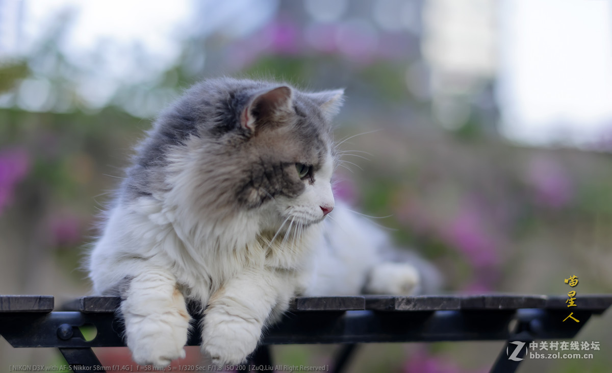 新进得镜头一枚，试试镜