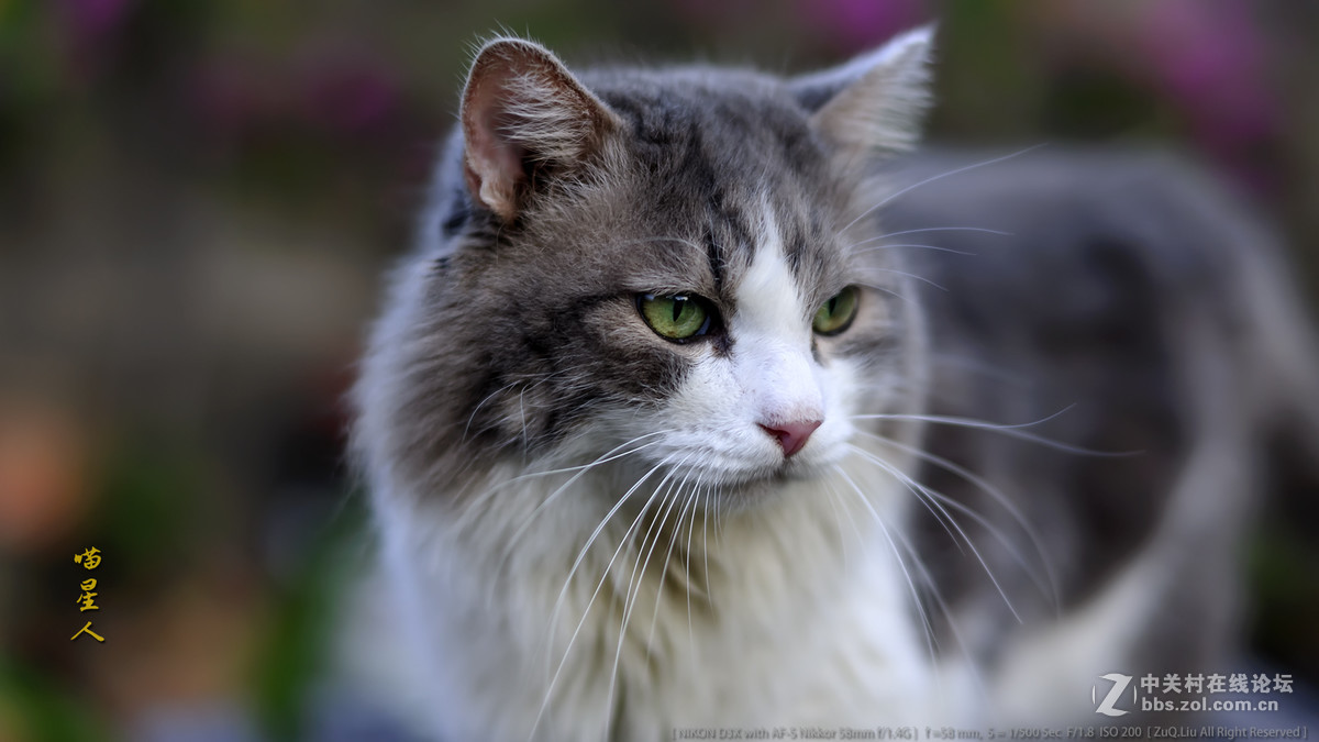 新进得镜头一枚，试试镜