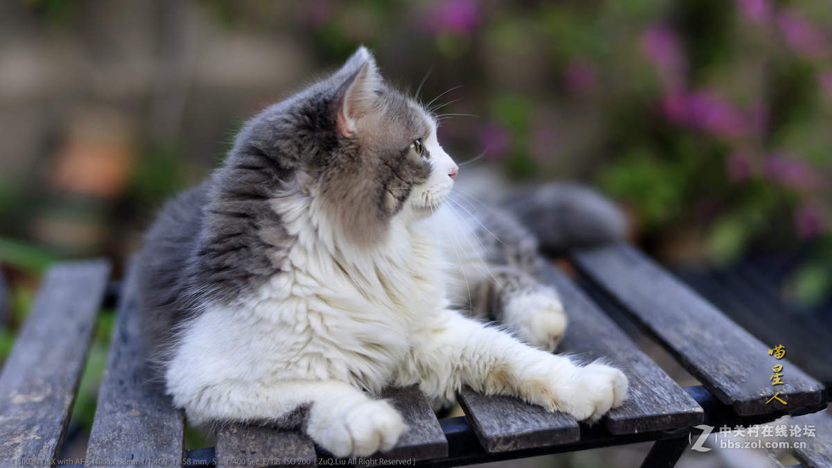 新进得镜头一枚，试试镜