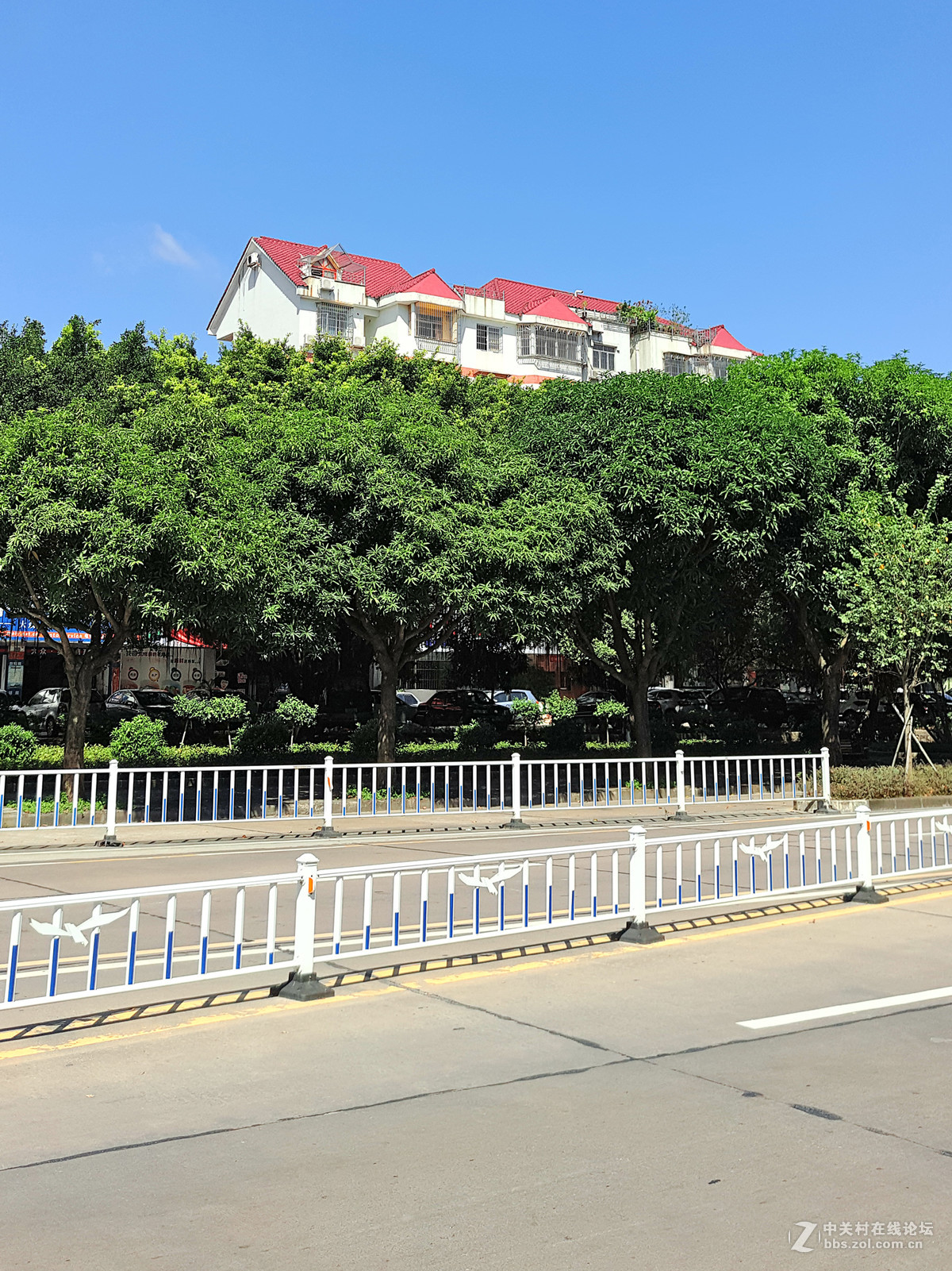 美到想哭的珠海天气。