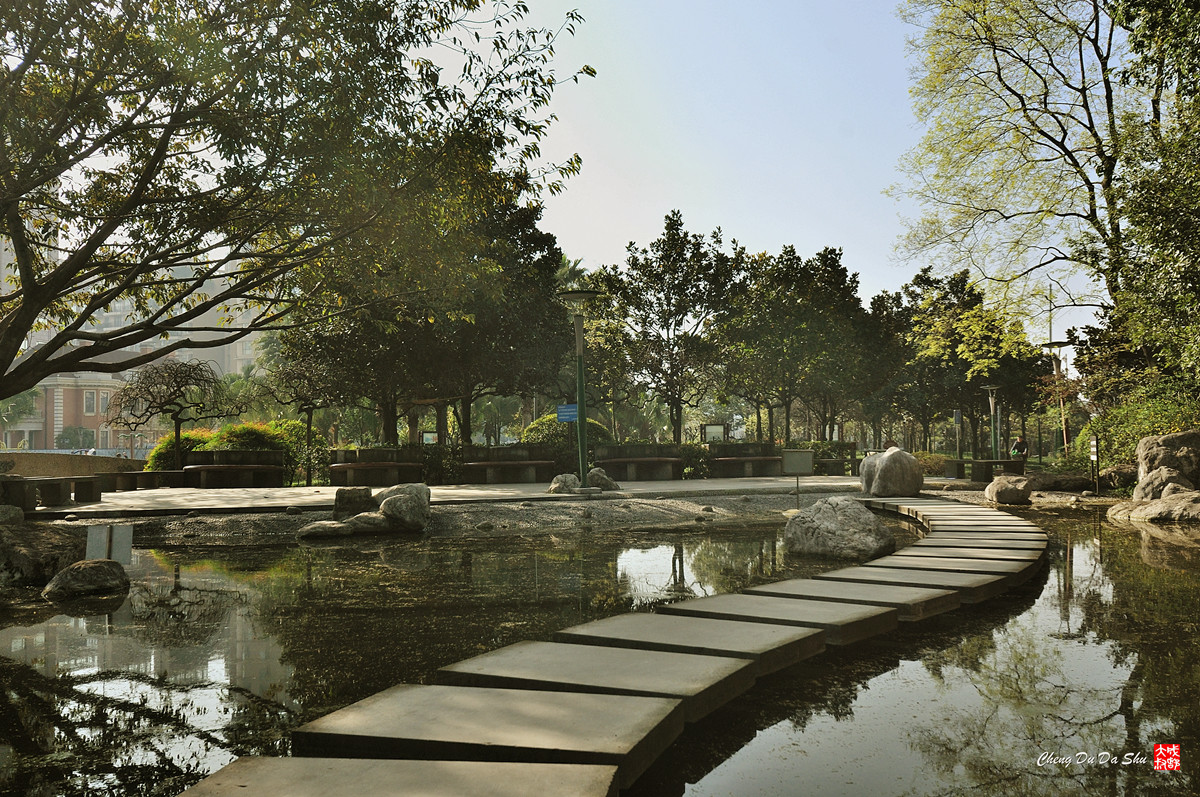 神仙树公园照片图片