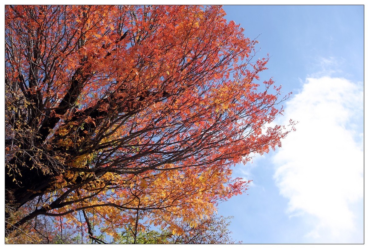 2017川西行（三十一）阿坝黑水县--雅克夏雪山侧面《六》
