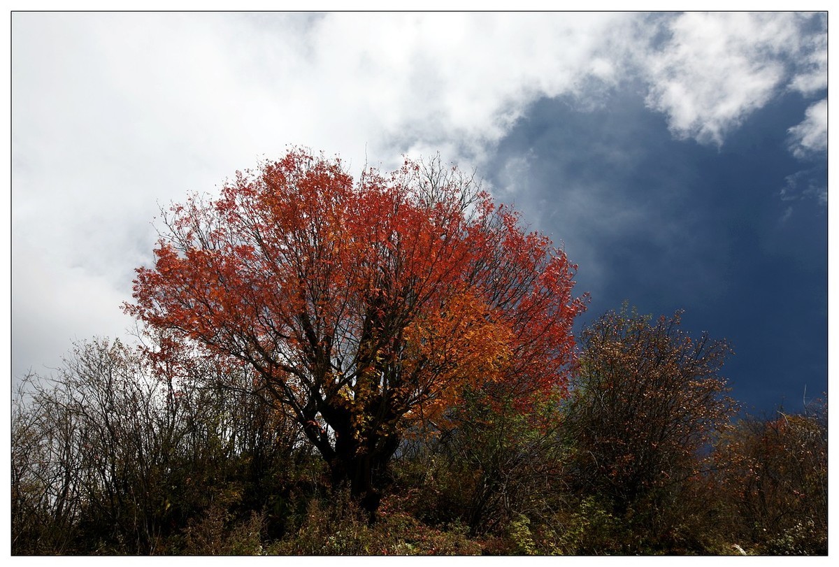 2017川西行（三十一）阿坝黑水县--雅克夏雪山侧面《六》
