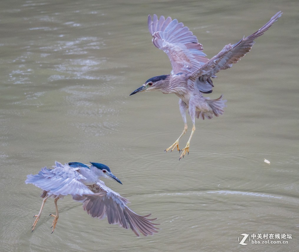 #版主坐堂#小五星空(中国)2018年十一月精品荟萃