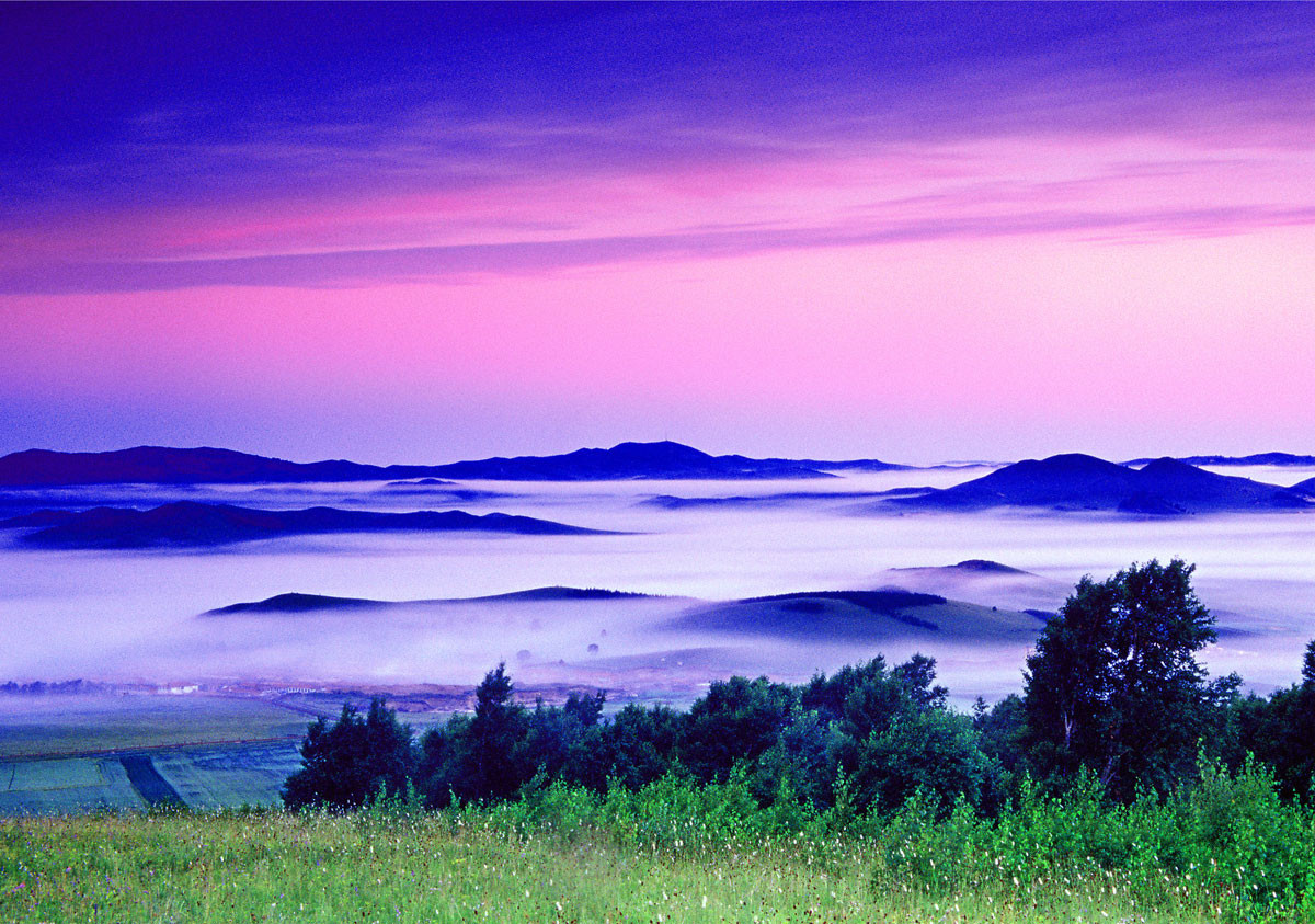 关注我的微信每天都有作品分享!