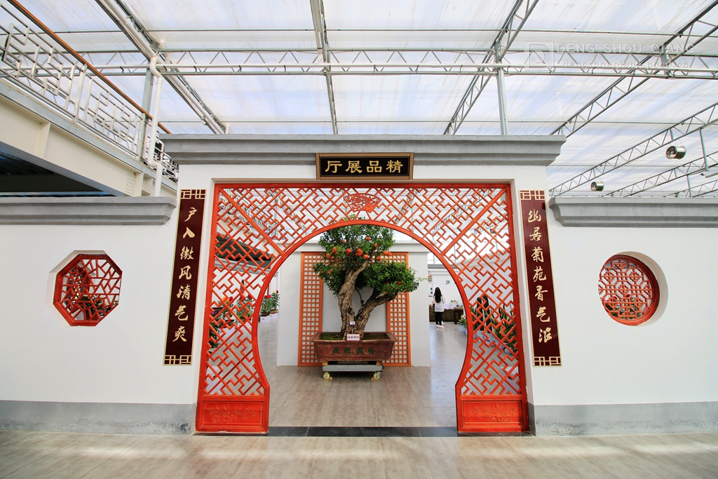 2015京东燕郊植物园金秋花卉展