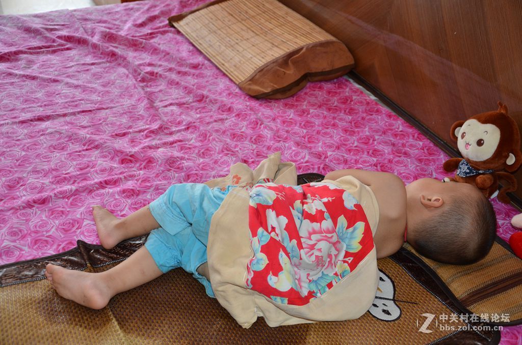 欣欣然2岁鸿运坐卧