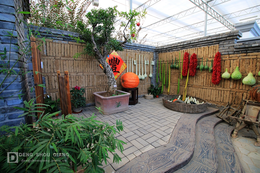 2015京东燕郊植物园金秋花卉展