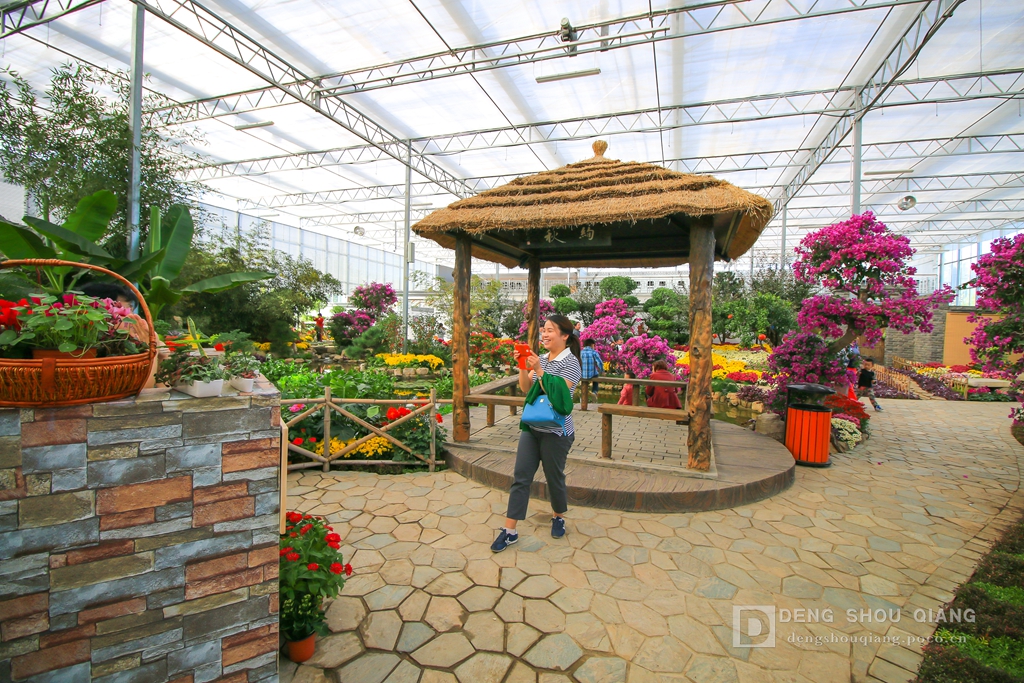 2015京东燕郊植物园金秋花卉展