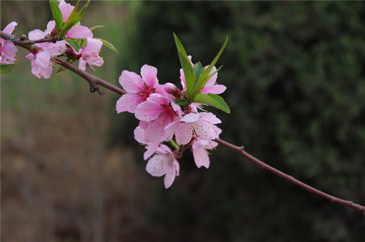 【行行摄摄】街头晨拍