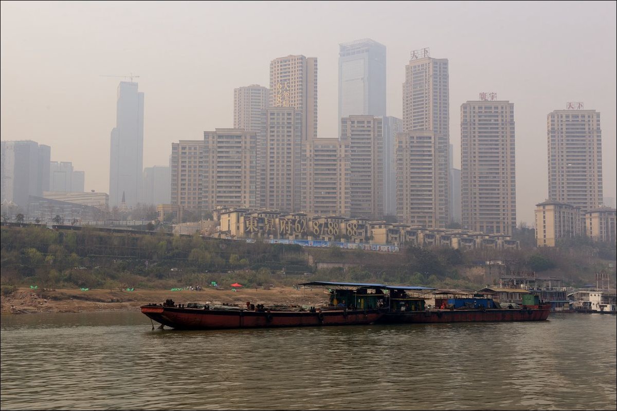 休闲随拍（295）