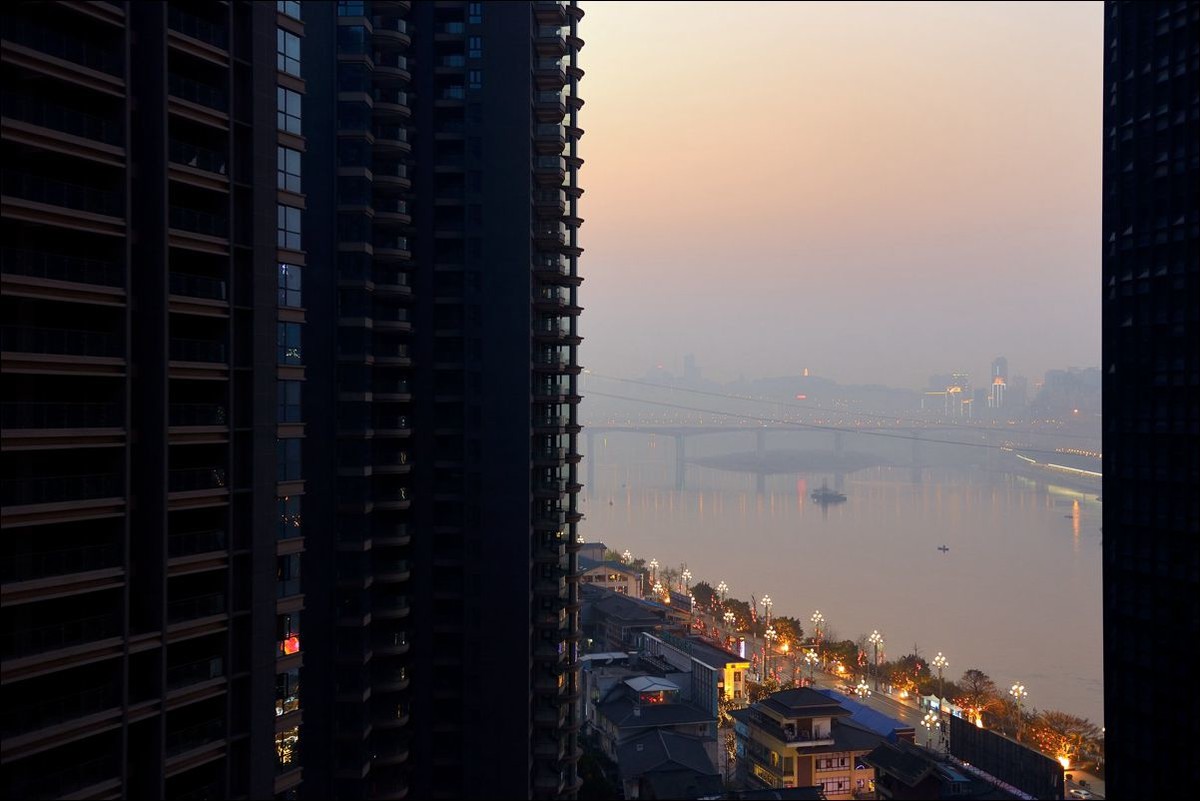 休闲随拍（295）