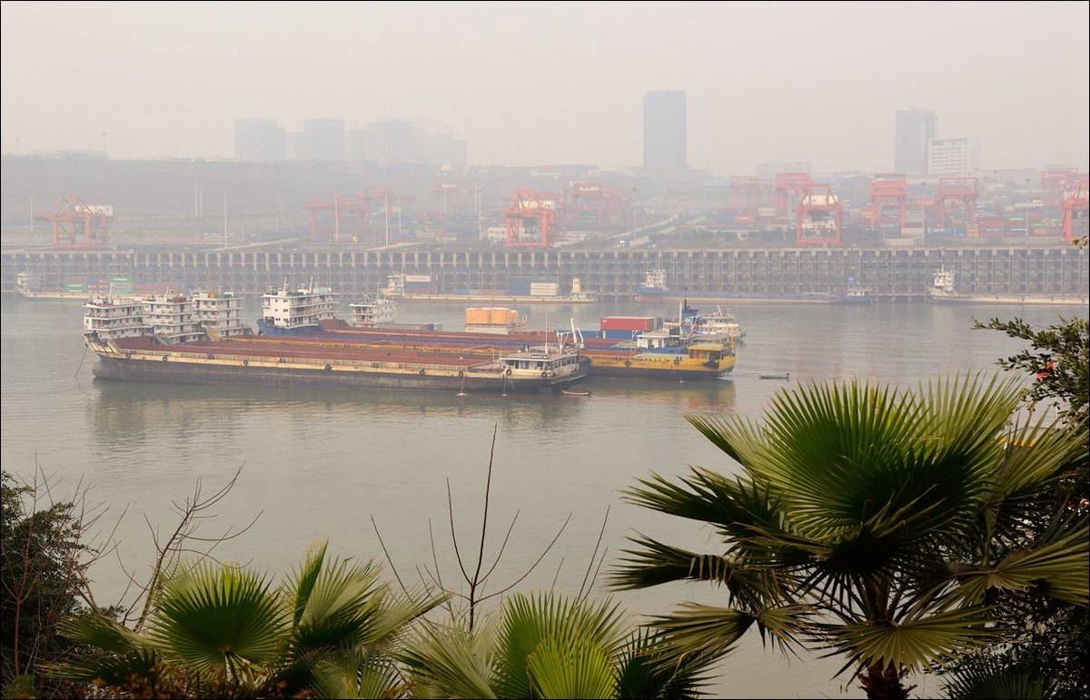 休闲随拍（295）