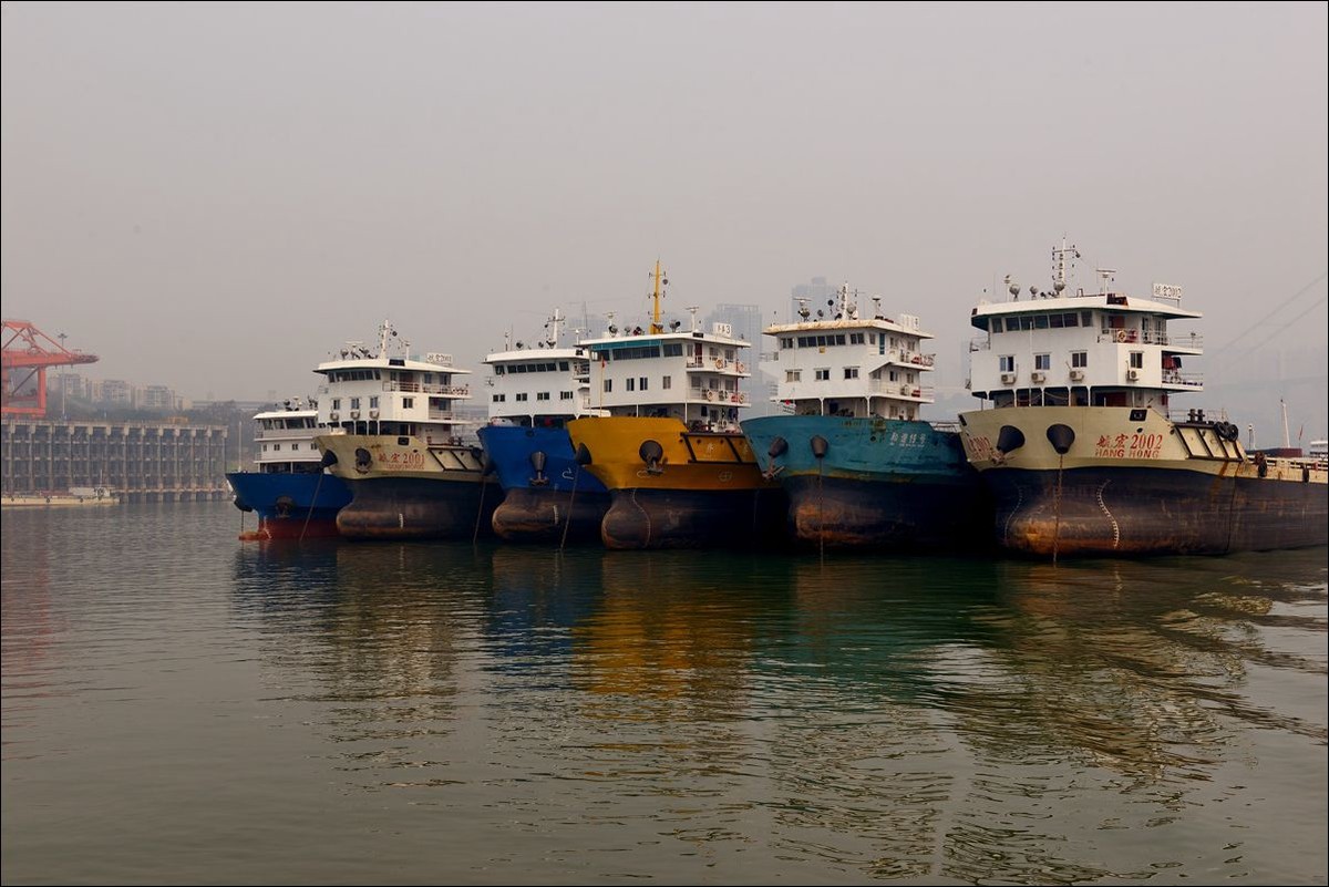 休闲随拍（295）