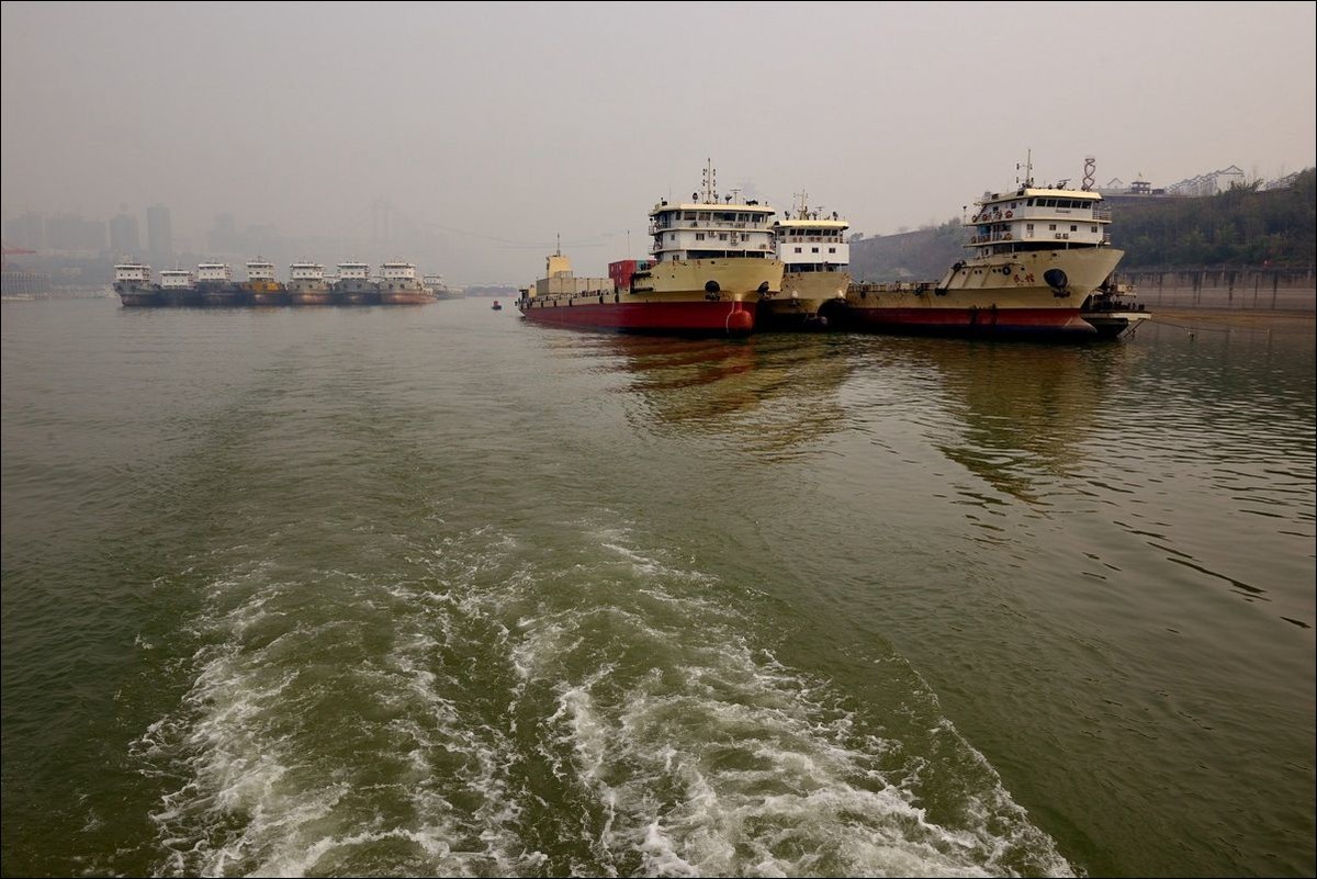 休闲随拍（295）