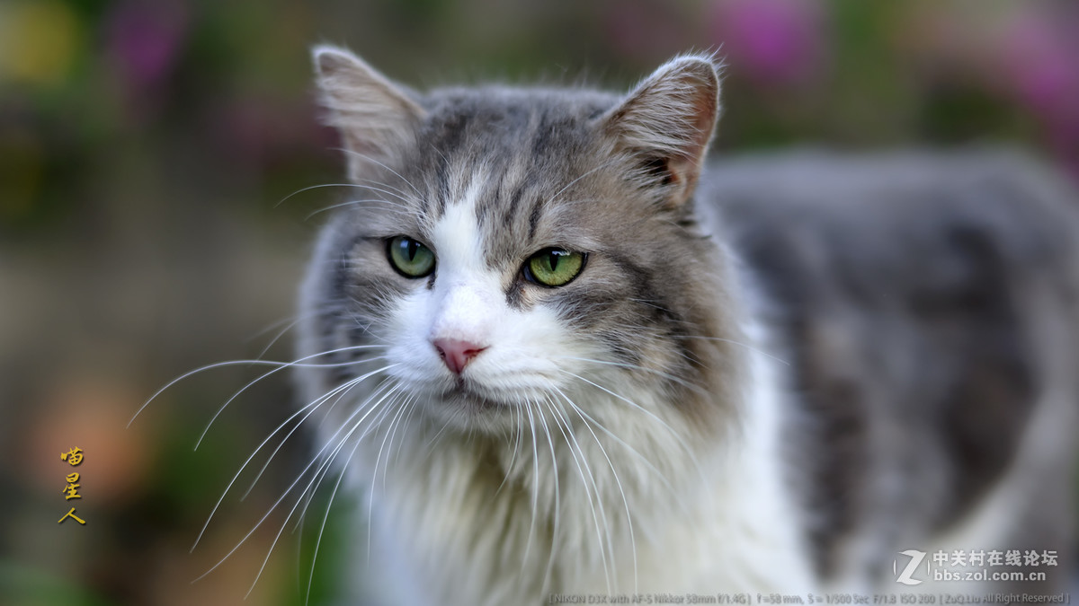 新进得镜头一枚，试试镜