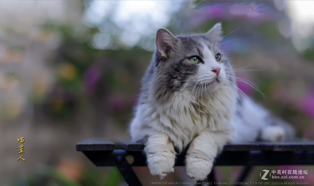 新进得镜头一枚，试试镜