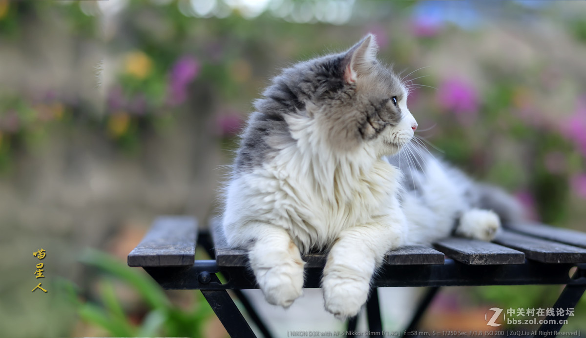 新进得镜头一枚，试试镜