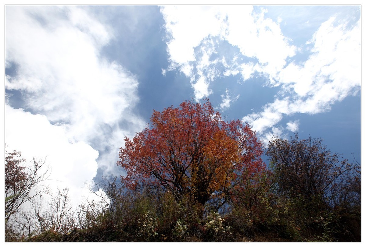 2017川西行（三十一）阿坝黑水县--雅克夏雪山侧面《六》