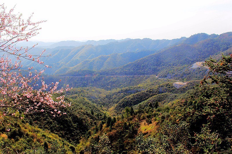 骑行在赣北无名的乡村。