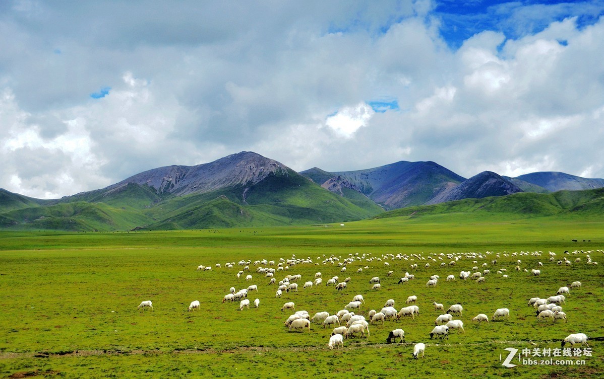 #版主坐堂#小五星空(中国)2018年十一月精品荟萃