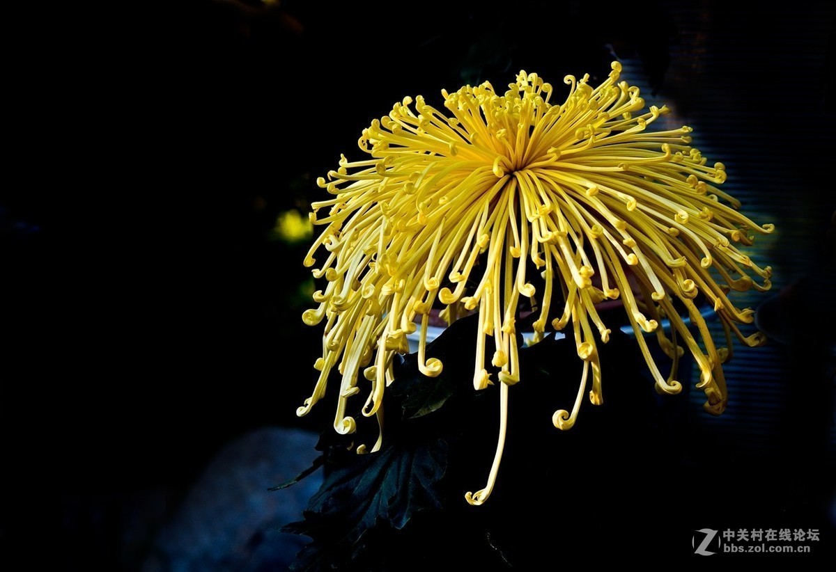 #版主坐堂#小五星空(中国)2018年十一月精品荟萃