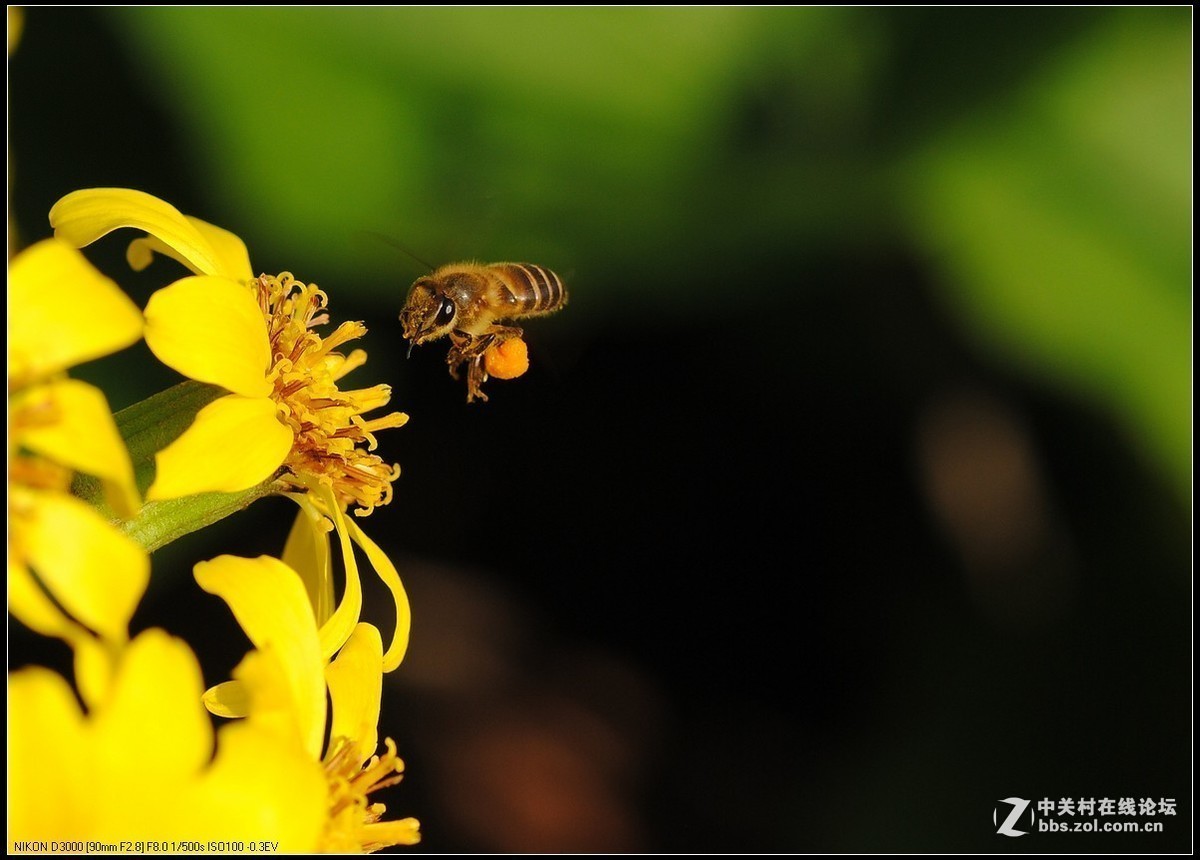 #版主坐堂#小五星空(中国)2018年十一月精品荟萃