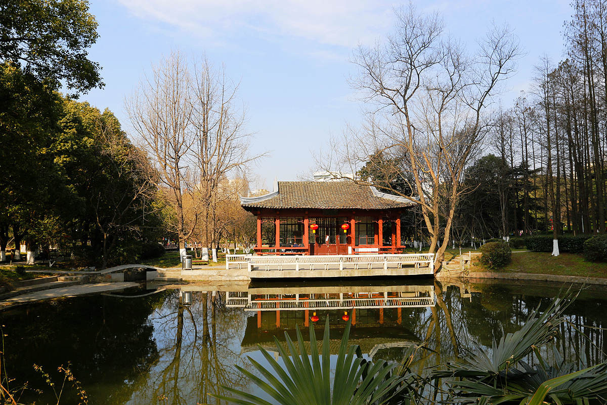 游游拍拍41南京古林公园